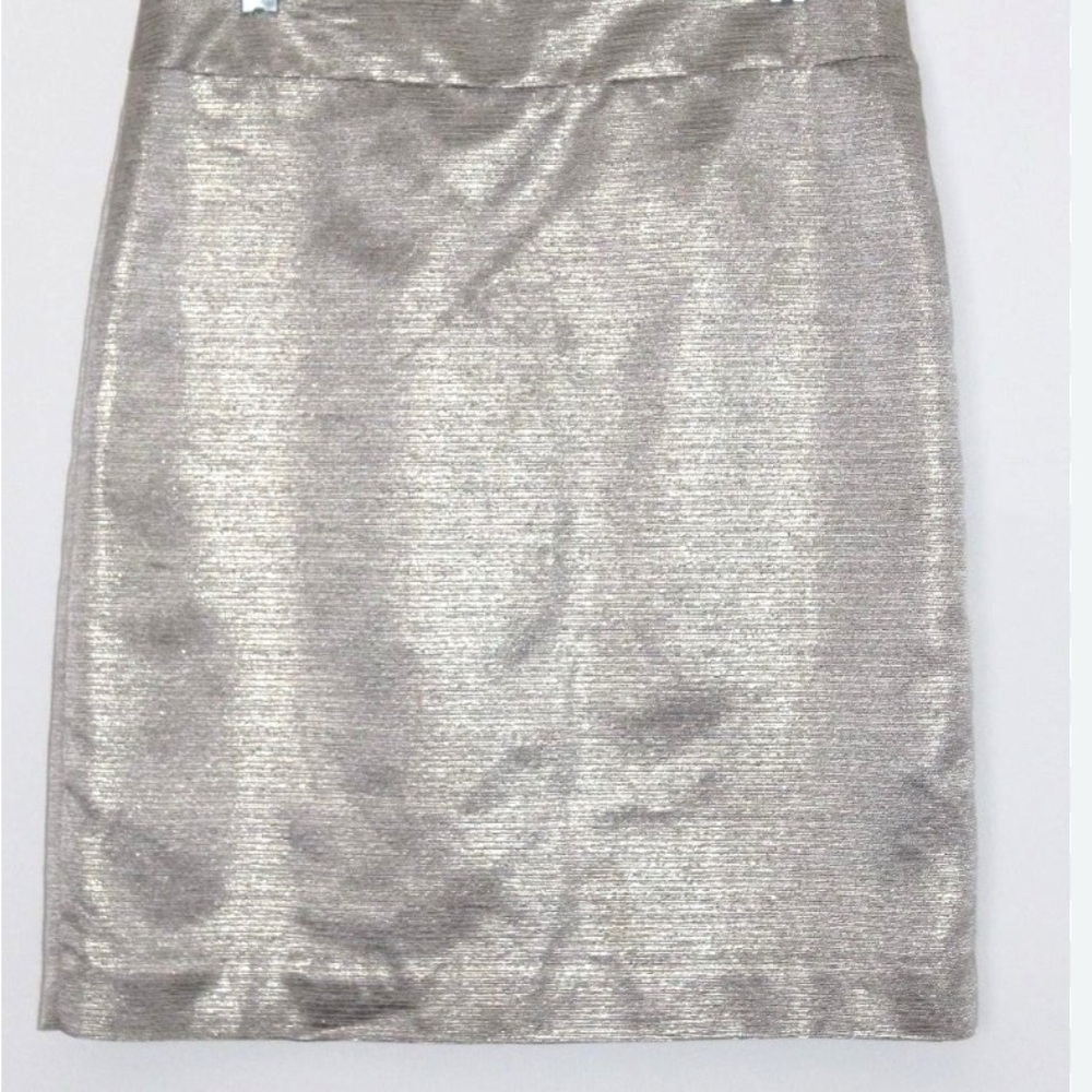 Ann Taylor Metallic Silk Cotton Skirt 10P Career Glam Timeless Sheen Classic